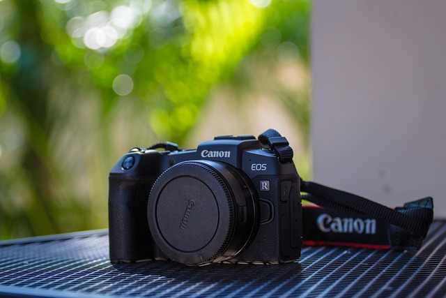 Canon EOS R5 Mark II
