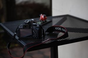 Canon EOS R1
