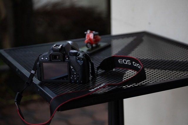 Canon EOS R1