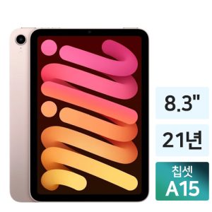 iPad mini