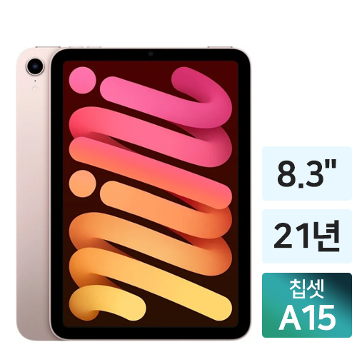 iPad mini